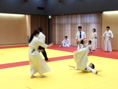 ���C���E�ߋZ���掎���E���i��