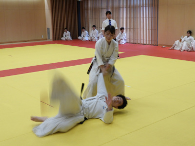 ���C���E�ߋZ���掎���E���i��