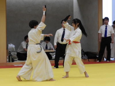 ���q�ō����掎��