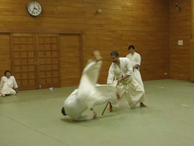 �񓹁E�ߏ񗐎掎���E�j�i��