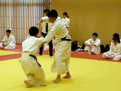 ���C���E�ߋZ���掎���E�O�i��