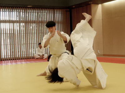 ���C���E�ߋZ���掎���E��i��