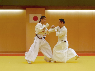 �_���@�E�g�藐�掎���E���i��