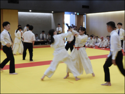 ���q�ō����掎��