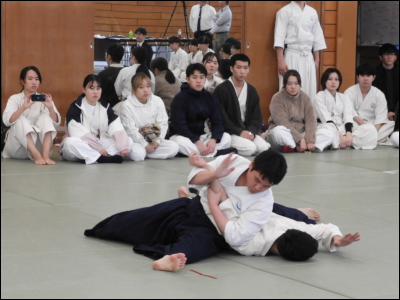 ���C���E�͔͉���