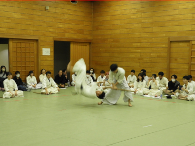 ���R�`�E����̕�